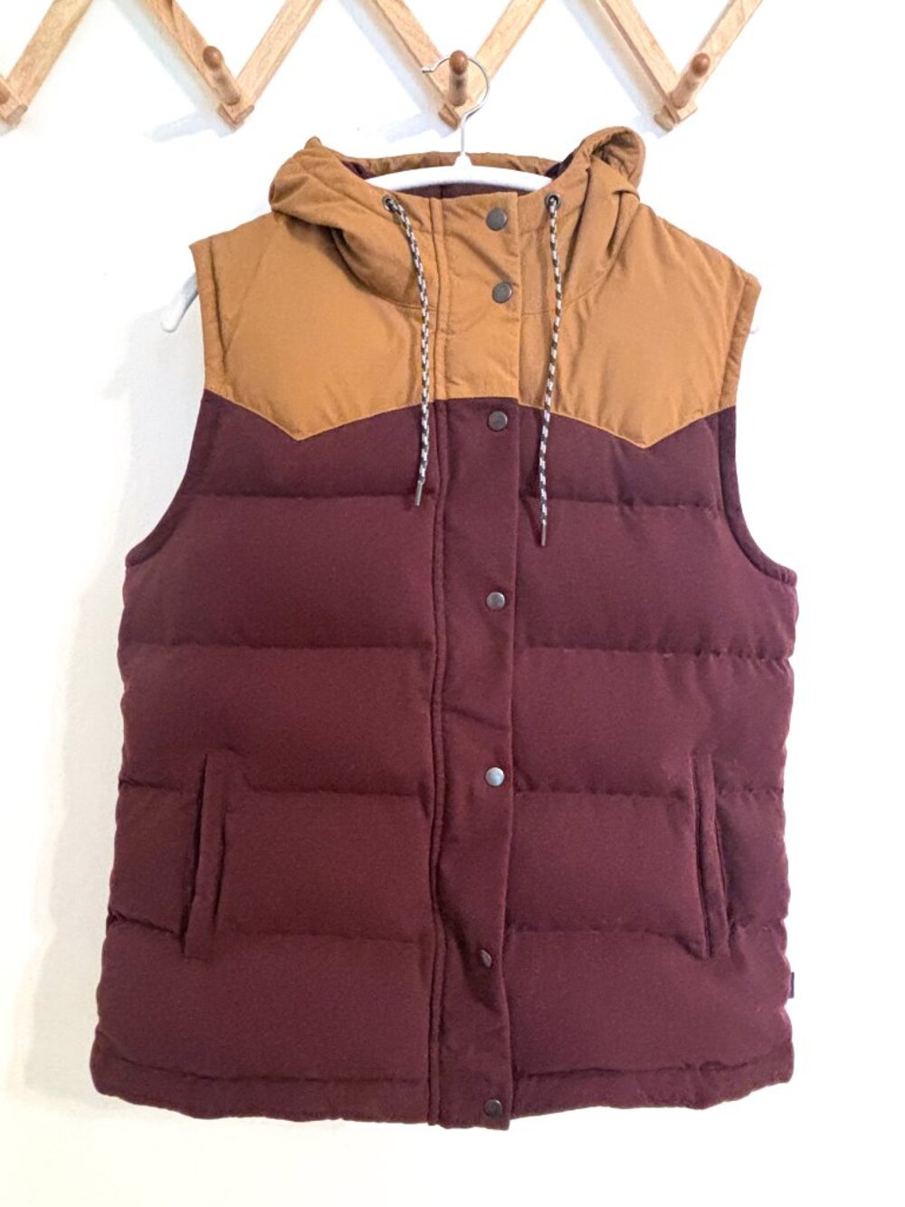 Patagonia Bivy Hooded Vest